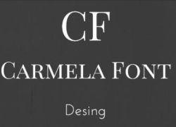 Ver detalles de la Empresa Carmela Font Decoradora y Diseñadora