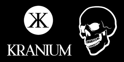 Ver detalles de la Empresa Kranium Spain