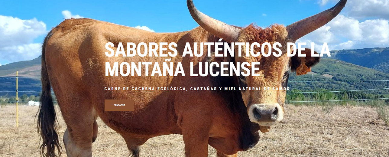 Ver detalles de la Empresa Eco Cereixo