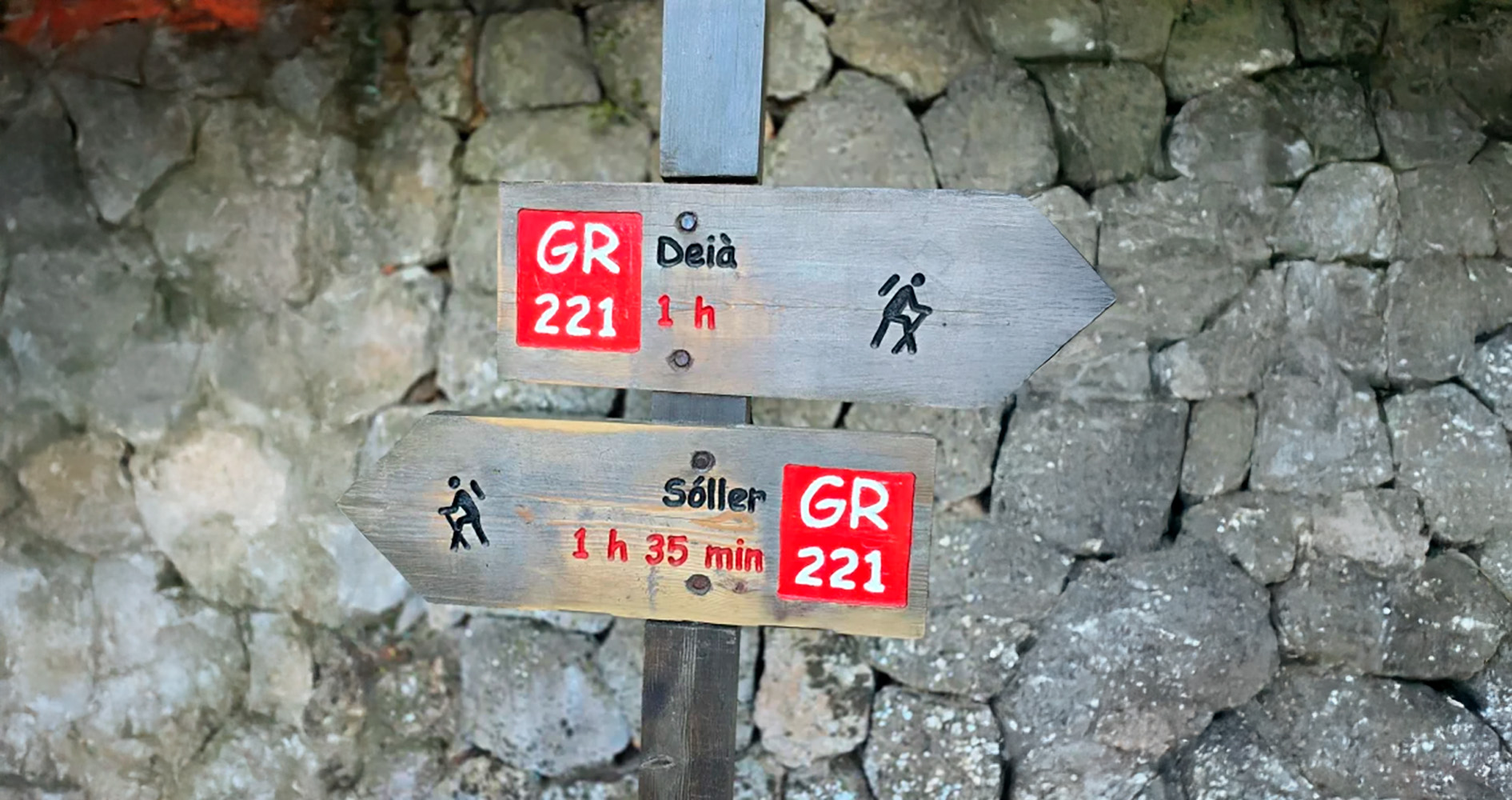 Ver detalles de la Empresa Cel Salvatge Mallorca